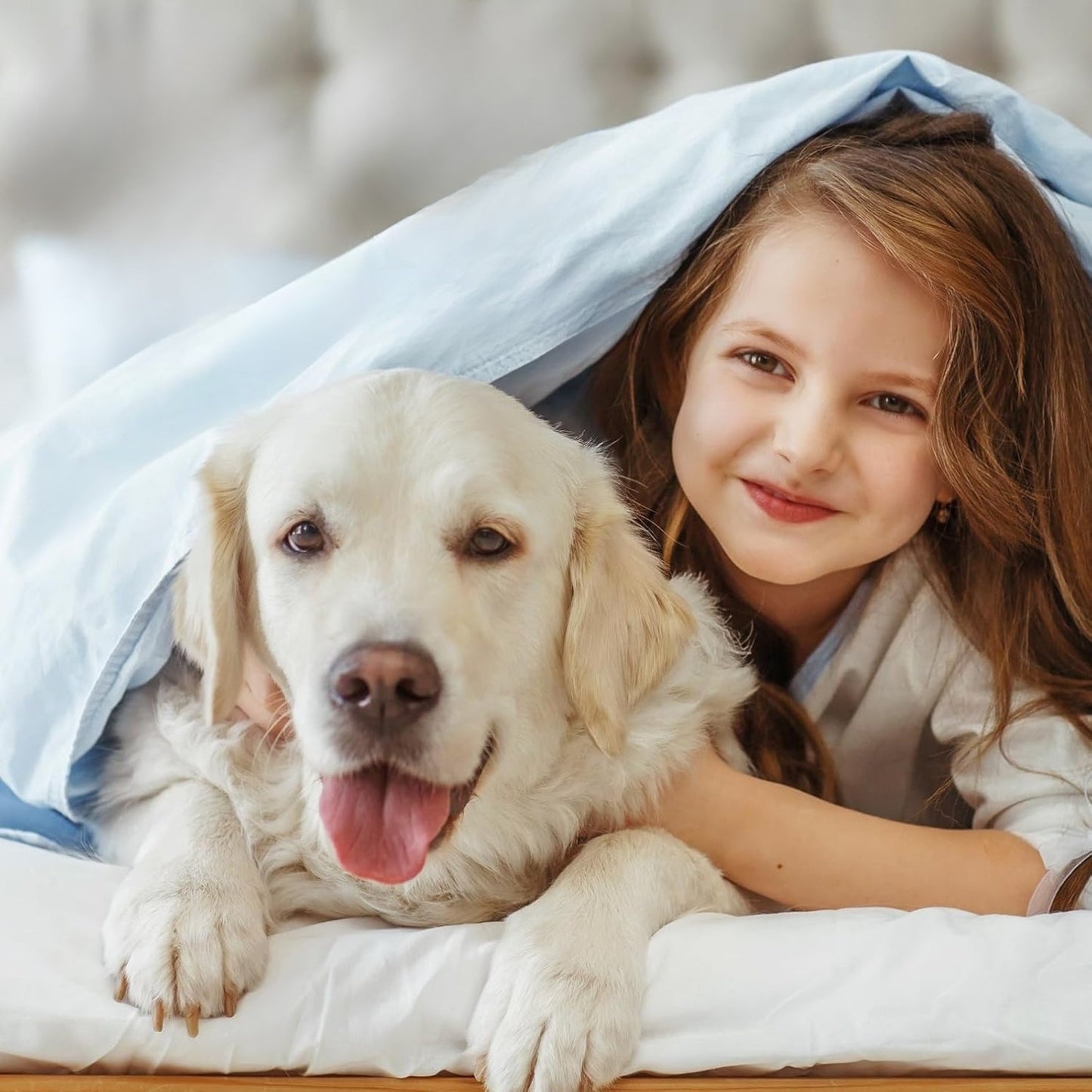 Zennalya™ - Advanced Dog Calming Diffuser