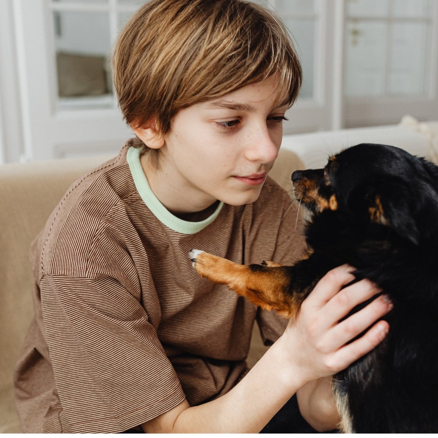 Zennalya™ - Advanced Dog Calming Diffuser